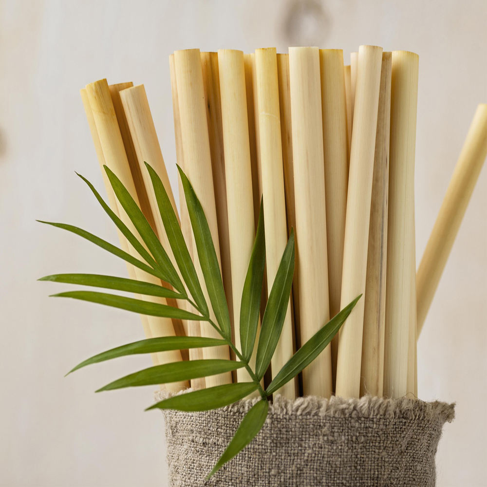 Natural Wood Disposable Bamboo Straws-Biodegradable Eco-Friendly Party Bar Accessories - Image 6